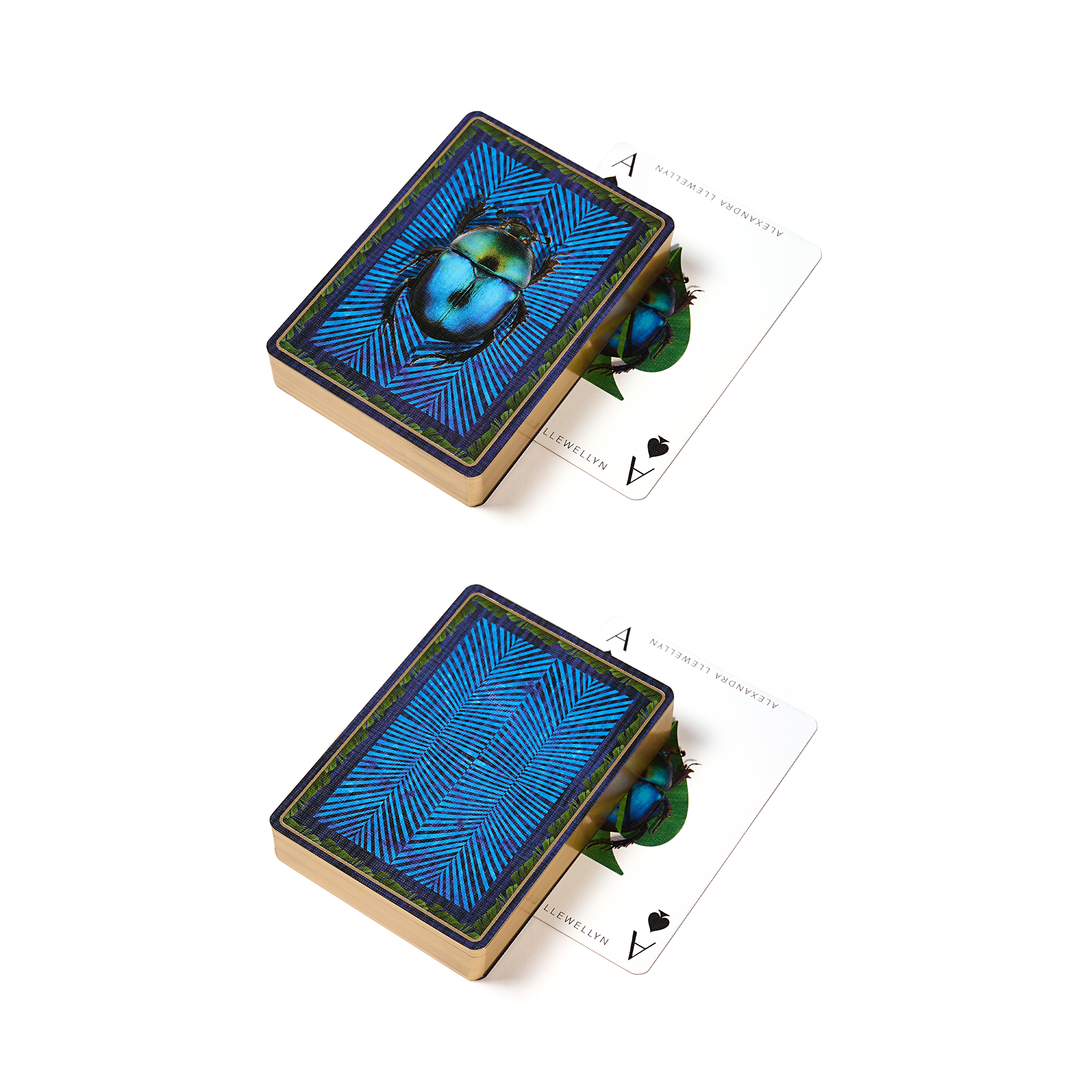 20240108_PCC_Pair_BeetleBlue_G