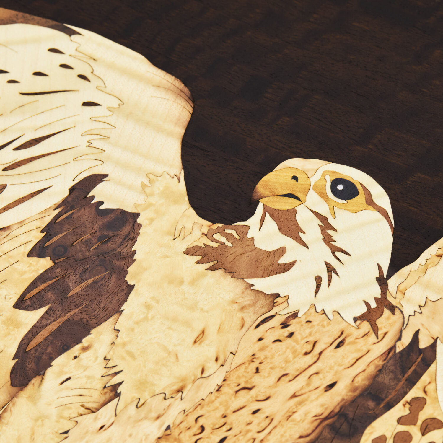 20230922 B BGF MQ Falcon 09